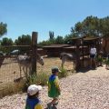 GRANJA-2026-002