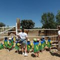 GRANJA-2026-003