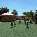 GRANJA-2026-008