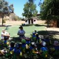 GRANJA-2026-015