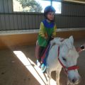 GRANJA-2026-028