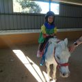GRANJA-2026-029