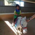 GRANJA-2026-032