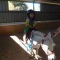 GRANJA-2026-035