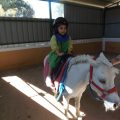 GRANJA-2026-044