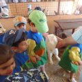 GRANJA-2026-050