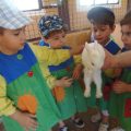 GRANJA-2026-051