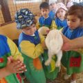 GRANJA-2026-052