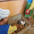 GRANJA-2026-053