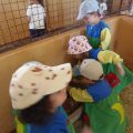 GRANJA-2026-054
