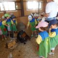 GRANJA-2026-058