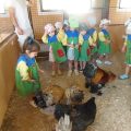 GRANJA-2026-059