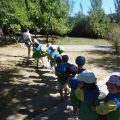 GRANJA-2026-062