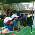 ZOO-2026-008