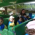 ZOO-2026-009