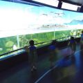 ZOO-2026-016