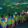 ZOO-2026-018