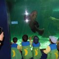 ZOO-2026-019