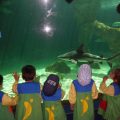 ZOO-2026-020