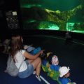 ZOO-2026-023