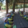 ZOO-2026-025