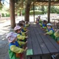 ZOO-2026-026