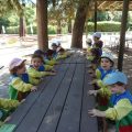 ZOO-2026-028