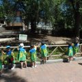 ZOO-2026-029
