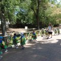 ZOO-2026-031