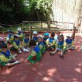 ZOO-2026-032