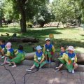 ZOO-2026-035
