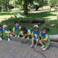 ZOO-2026-036