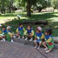 ZOO-2026-037