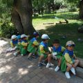 ZOO-2026-038