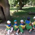 ZOO-2026-040